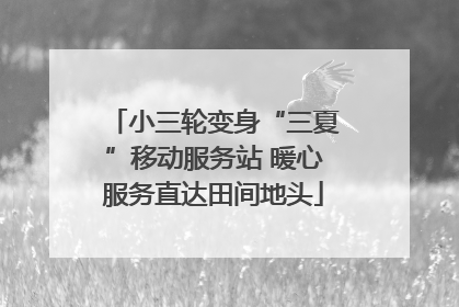 小三轮变身“三夏”移动服务站 暖心服务直达田间地头