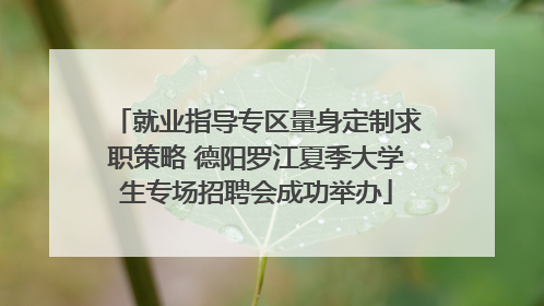 就业指导专区量身定制求职策略 德阳罗江夏季大学生专场招聘会成功举办