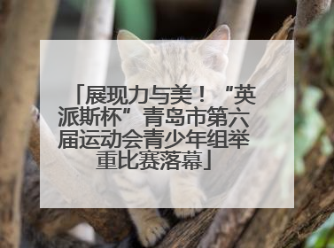 展现力与美！“英派斯杯”青岛市第六届运动会青少年组举重比赛落幕
