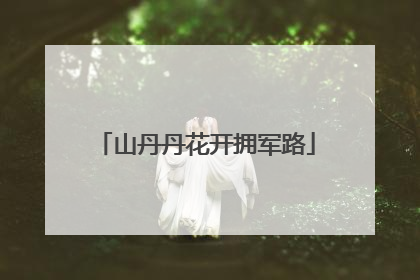 山丹丹花开拥军路
