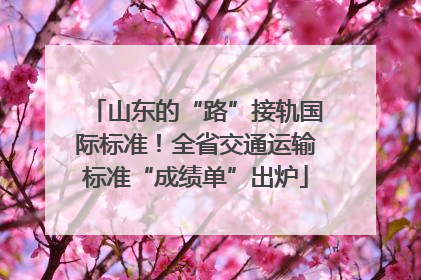 山东的“路”接轨国际标准！全省交通运输标准“成绩单”出炉