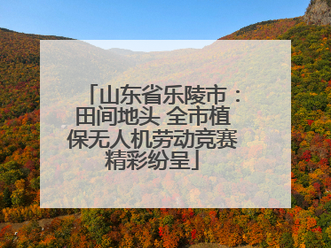 山东省乐陵市：田间地头 全市植保无人机劳动竞赛精彩纷呈