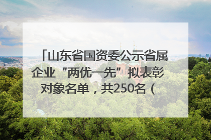 山东省国资委公示省属企业“两优一先”拟表彰对象名单，共250名（个）党员和党组织