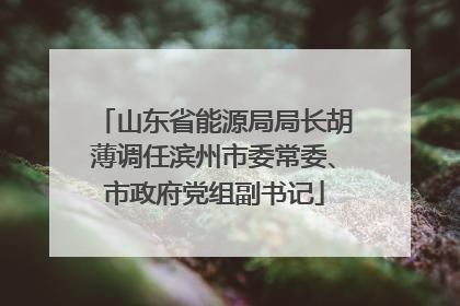 山东省能源局局长胡薄调任滨州市委常委、市政府党组副书记