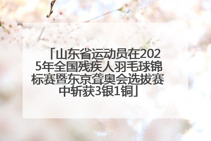 山东省运动员在2025年全国残疾人羽毛球锦标赛暨东京聋奥会选拔赛中斩获3银1铜