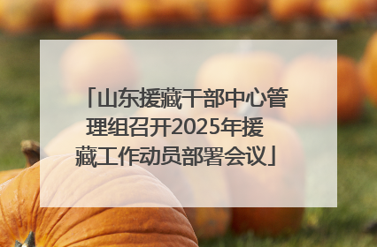 山东援藏干部中心管理组召开2025年援藏工作动员部署会议
