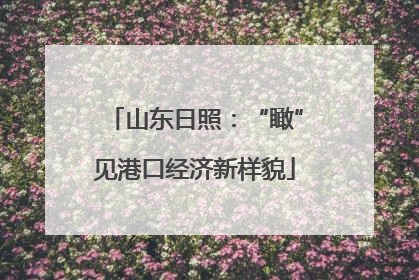 山东日照：“瞰”见港口经济新样貌