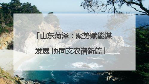 山东菏泽：聚势赋能谋发展 协同支农谱新篇