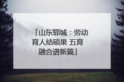 山东郓城：劳动育人结硕果 五育融合谱新篇