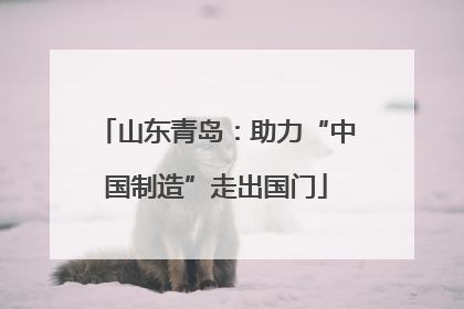 山东青岛：助力“中国制造”走出国门