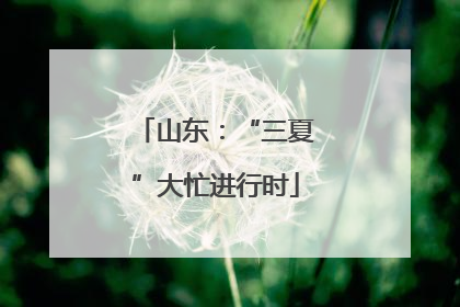 山东：“三夏”大忙进行时