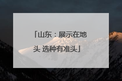 山东：展示在地头 选种有准头