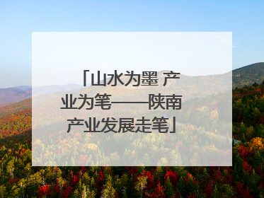 山水为墨 产业为笔——陕南产业发展走笔