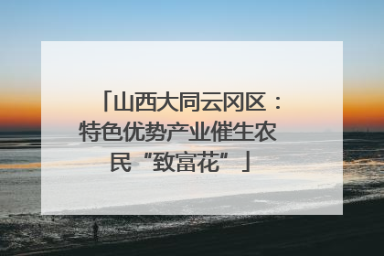 山西大同云冈区：特色优势产业催生农民“致富花”