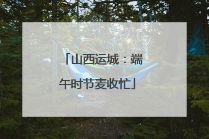 山西运城：端午时节麦收忙
