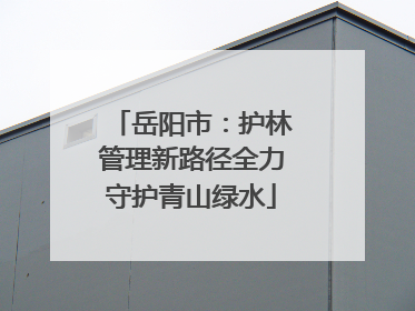 岳阳市：护林管理新路径全力守护青山绿水