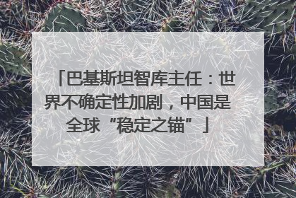 巴基斯坦智库主任：世界不确定性加剧，中国是全球“稳定之锚”