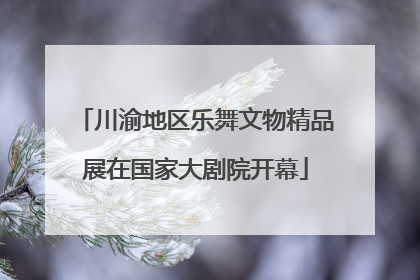 川渝地区乐舞文物精品展在国家大剧院开幕