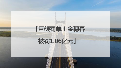 巨额罚单！金穗春被罚1.06亿元