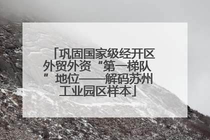 巩固国家级经开区外贸外资“第一梯队”地位——解码苏州工业园区样本