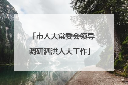 市人大常委会领导调研泗洪人大工作