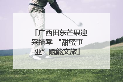 广西田东芒果迎采摘季 “甜蜜事业”赋能文旅