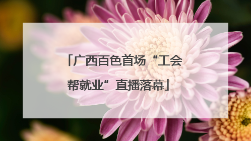 广西百色首场“工会帮就业”直播落幕
