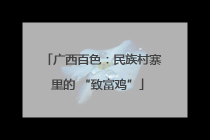 广西百色：民族村寨里的 “致富鸡”