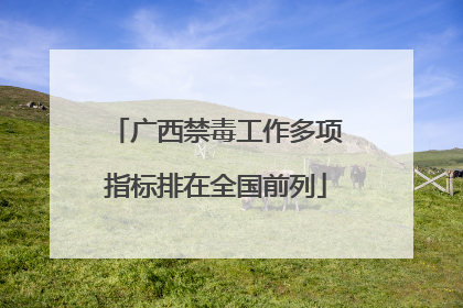 广西禁毒工作多项指标排在全国前列
