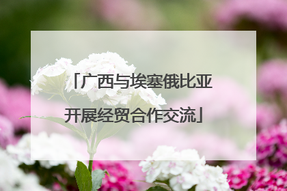 广西与埃塞俄比亚开展经贸合作交流