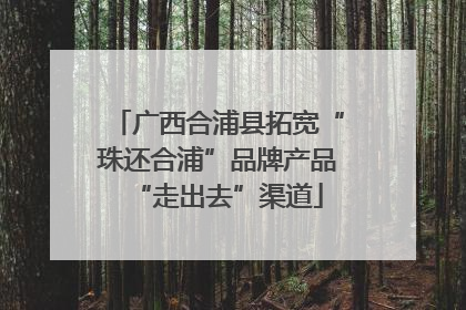 广西合浦县拓宽“珠还合浦”品牌产品“走出去”渠道