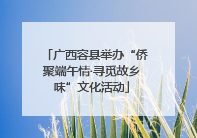 广西容县举办“侨聚端午情·寻觅故乡味”文化活动