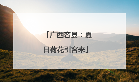 广西容县：夏日荷花引客来