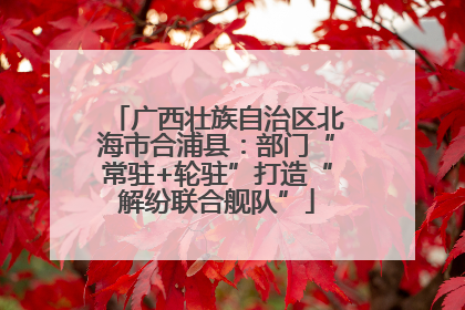 广西壮族自治区北海市合浦县：部门“常驻+轮驻”打造“解纷联合舰队”