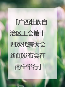 广西壮族自治区工会第十四次代表大会新闻发布会在南宁举行