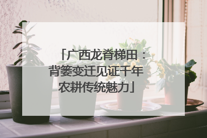 广西龙脊梯田：背篓变迁见证千年农耕传统魅力