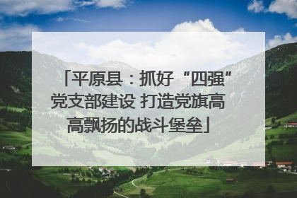 平原县：抓好“四强”党支部建设 打造党旗高高飘扬的战斗堡垒