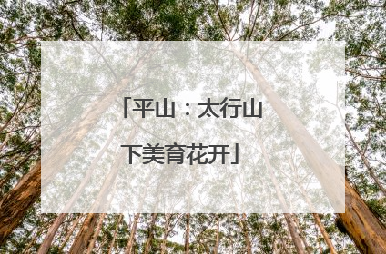 平山：太行山下美育花开