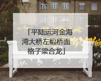 平陆运河金海湾大桥左幅桥面格子梁合龙
