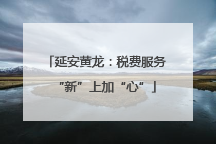 延安黄龙：税费服务“新”上加“心”
