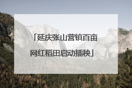 延庆张山营镇百亩网红稻田启动插秧