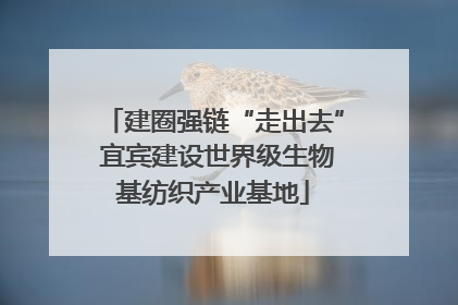 建圈强链“走出去” 宜宾建设世界级生物基纺织产业基地