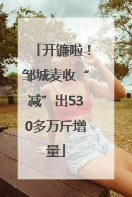 开镰啦！邹城麦收“减”出530多万斤增量
