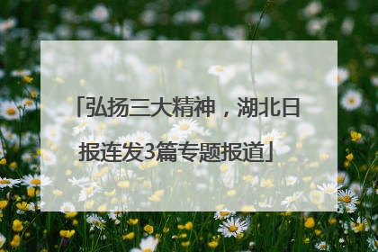 弘扬三大精神，湖北日报连发3篇专题报道