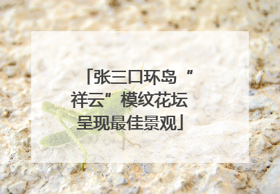 张三口环岛“祥云”模纹花坛呈现最佳景观