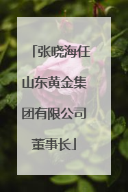 张晓海任山东黄金集团有限公司董事长