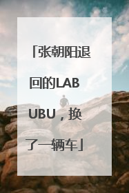 张朝阳退回的LABUBU，换了一辆车