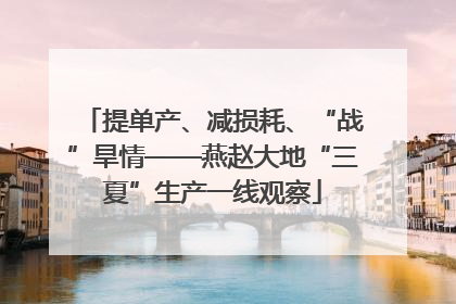 提单产、减损耗、“战”旱情——燕赵大地“三夏”生产一线观察