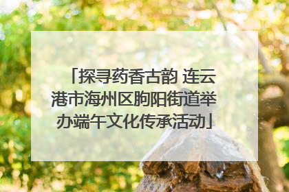 探寻药香古韵 连云港市海州区朐阳街道举办端午文化传承活动