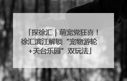 探徐汇｜萌宠党狂喜！徐汇滨江解锁“宠物游轮+天台乐园”双玩法